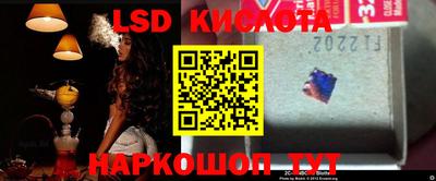 ГАЛЛЮЦИНОГЕННЫЕ ГРИБЫ Новодвинск