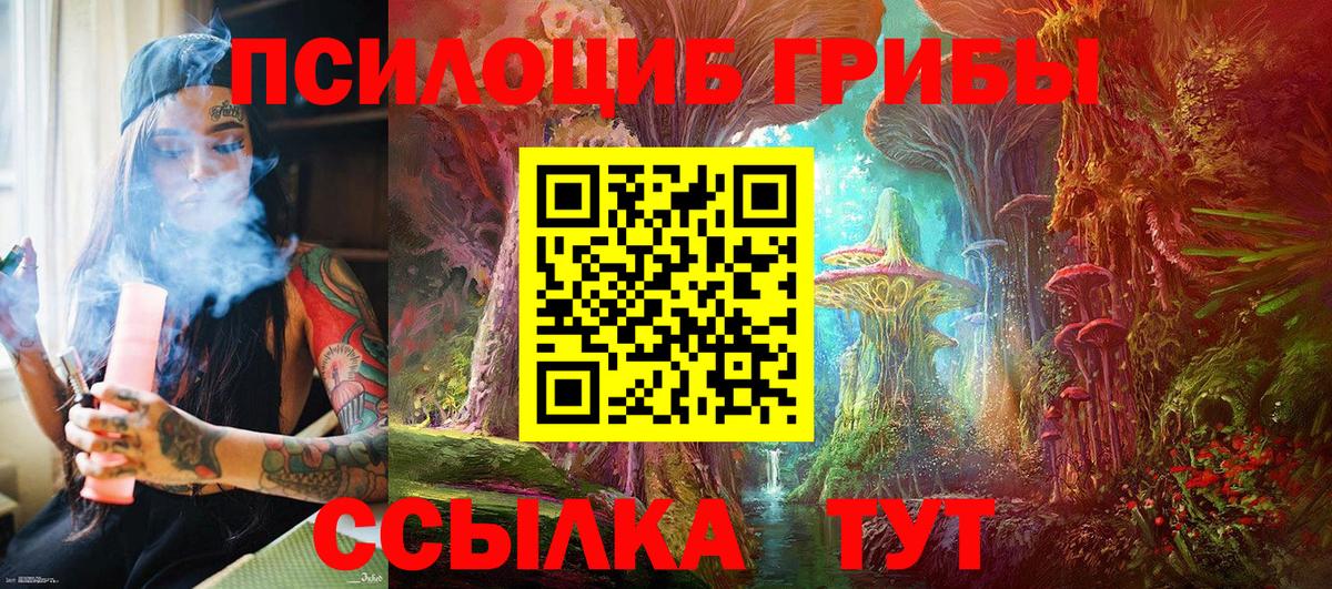 Галлюциногенные грибы мицелий Щёлково