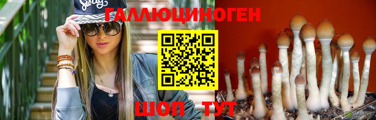 Галлюциногенные грибы Magic Shrooms  Вход с VPN  Щёлково  Галлюциногенные грибы Psilocybe 